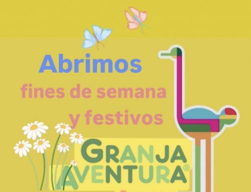 ¡Listos para recibiros!